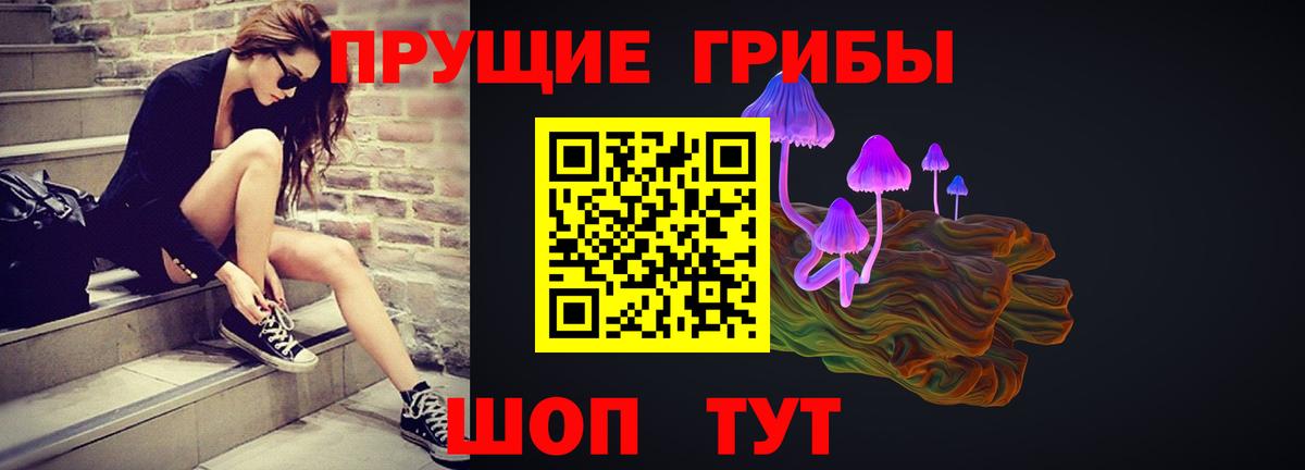 Красноуфимск  Псилоцибиновые грибы прущие грибы  Вход с VPN 